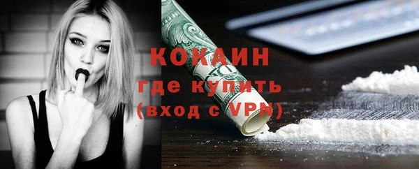 мет Ладушкин