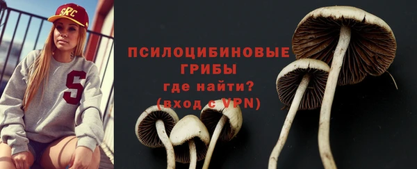 трава Лабытнанги