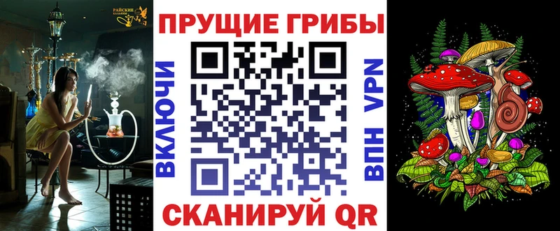 купить   Шацк  Псилоцибиновые грибы ЛСД 
